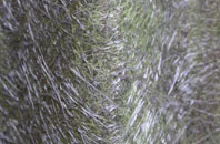 Quadring fibreglass roof work